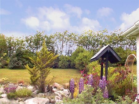 The garden at Haywoods B&B accommodation, Donegal Town, Co. Donegal