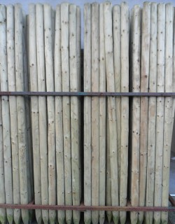 Pencil Posts from Dunwiley Nurseries & Garden Centre, Stranorlar, Co. Donegal, Ireland