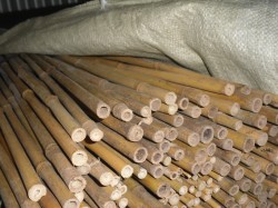 Bamboo Canes from Dunwiley Nurseries & Garden Centre, Stranorlar, Co. Donegal, Ireland